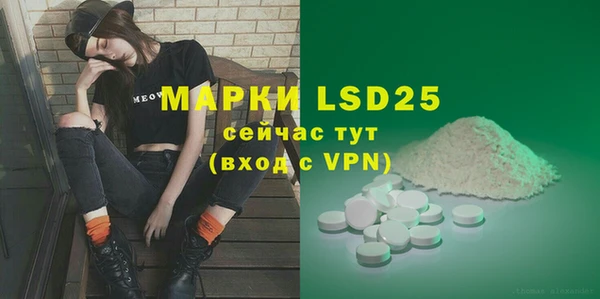 стаф Вяземский