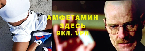 стаф Вяземский