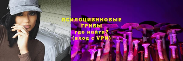 apvp Горняк