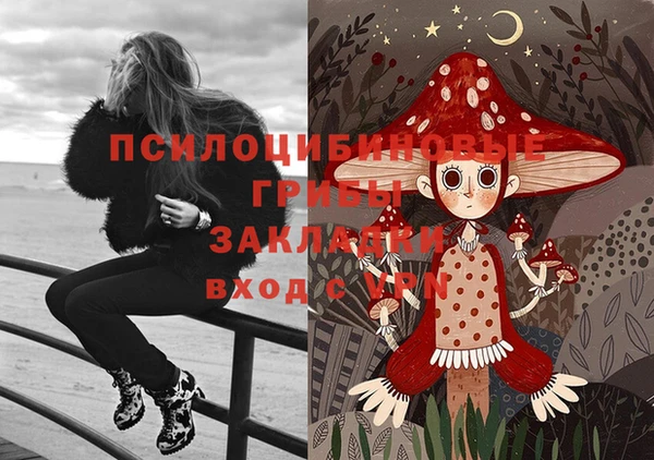 стаф Вяземский
