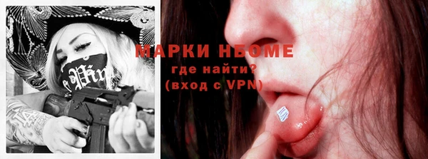 стаф Вяземский